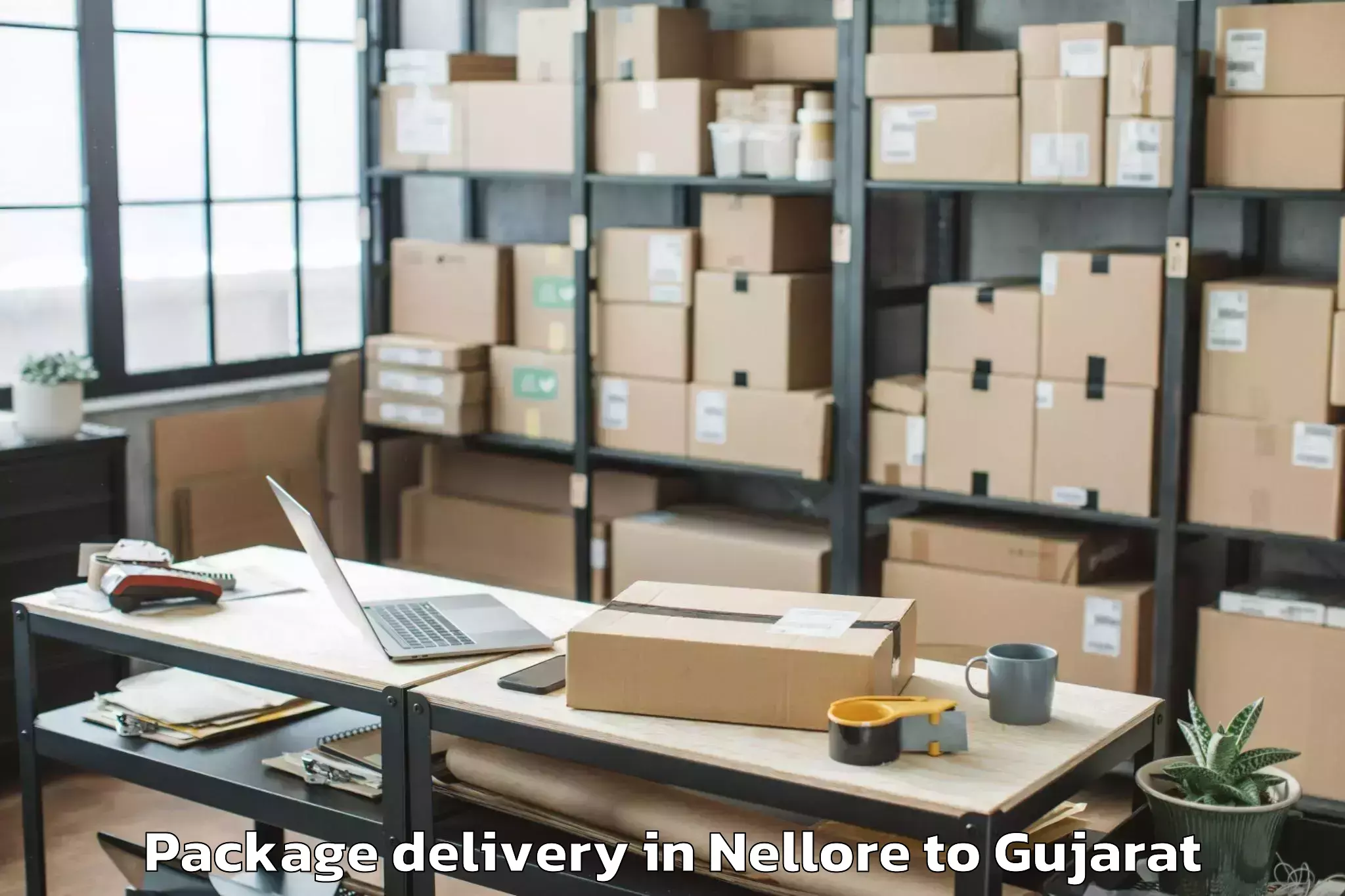 Hassle-Free Nellore to Amirgadh Package Delivery